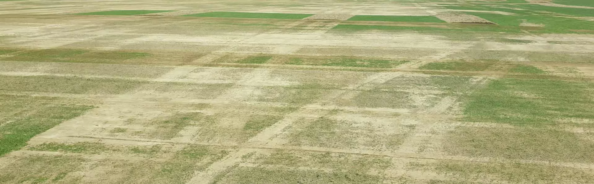 Top Dressing service