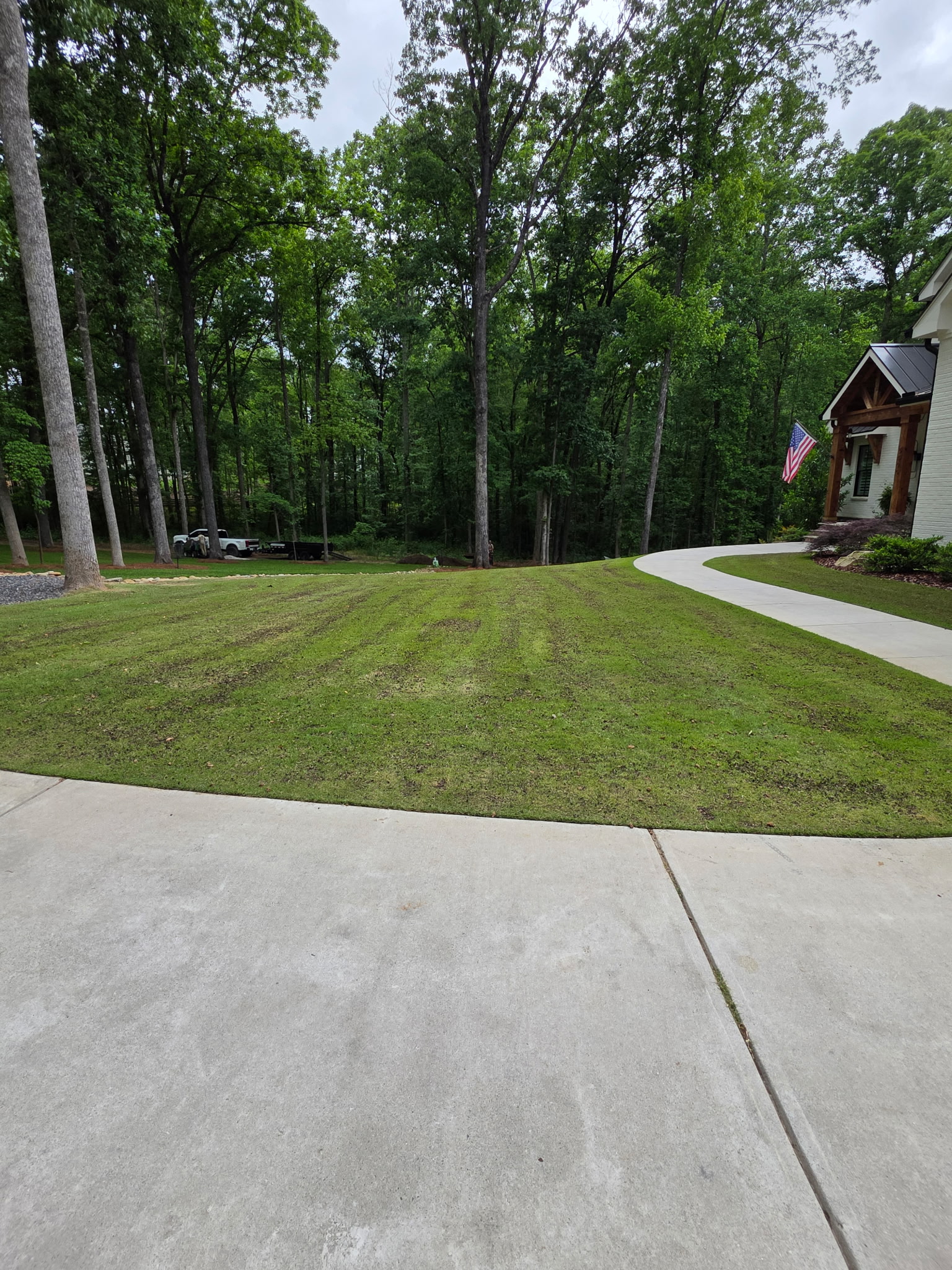 Maintained front lawn with curved walkway and wooded backdrop