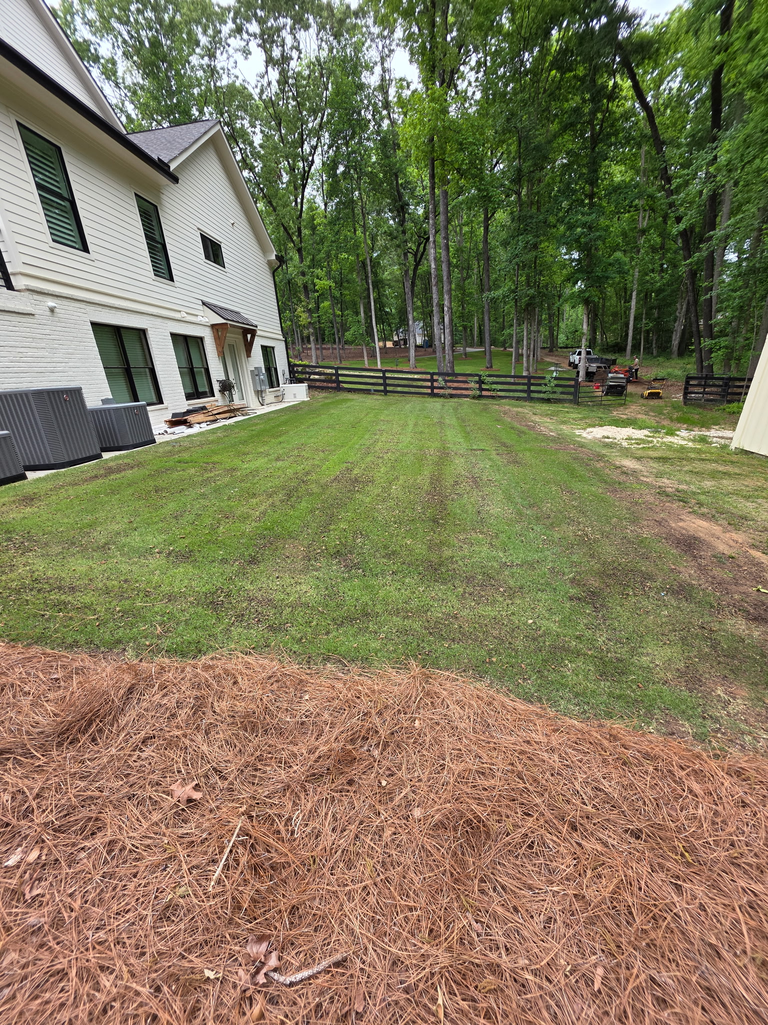 Backyard lawn edged with pine straw against a wooded lot