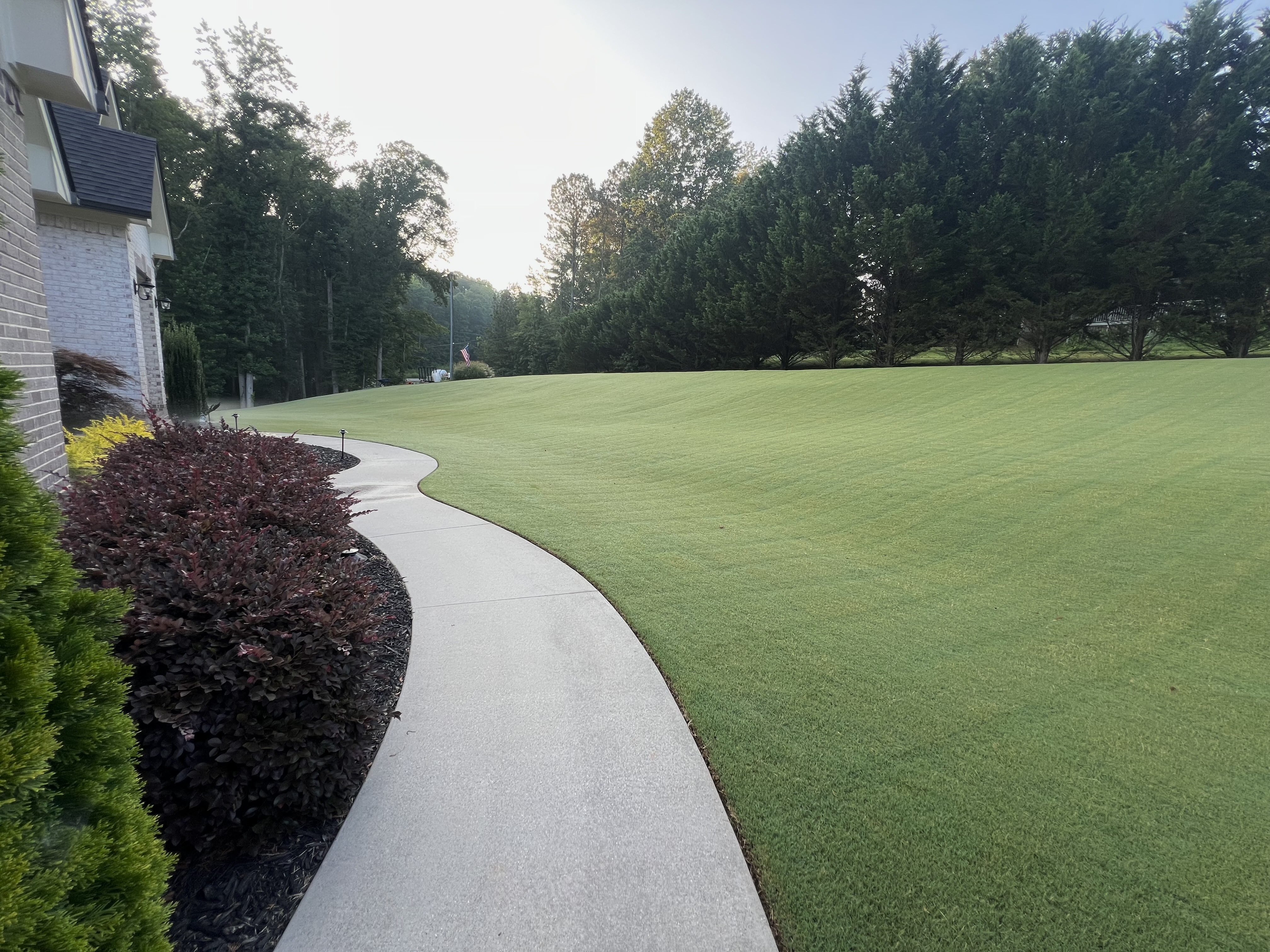 Curved concrete path and manicured lawn beside the home